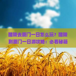 醴陵去厦门一日