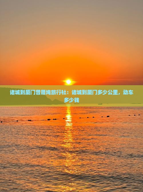 诸城到厦门曾厝埯旅行社
