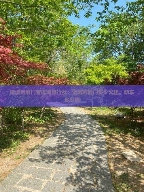 诸城到厦门曾厝埯旅行社