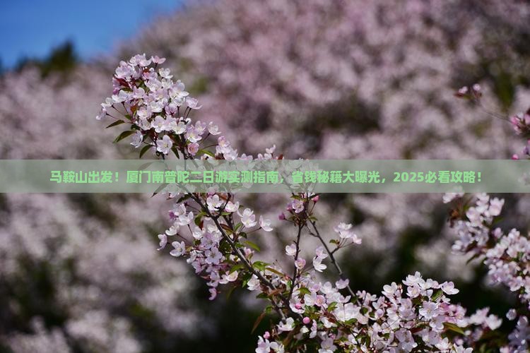 马鞍山到厦门南普陀二日游