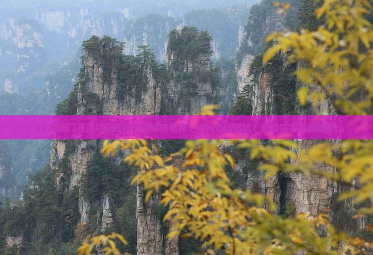 来宾到厦门菽庄花园团体旅游