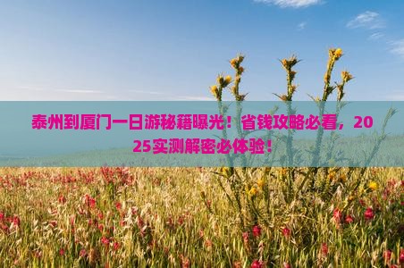 泰州到厦门一日