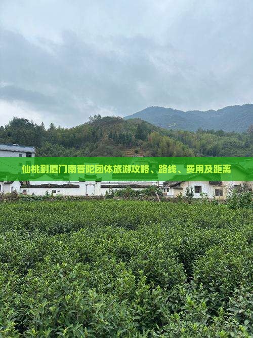 仙桃到厦门南普陀团体旅游