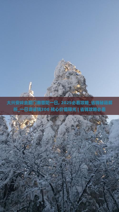 大兴安岭去厦门南普陀一日