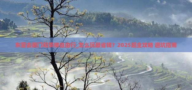 东营去厦门和贵楼自由行
