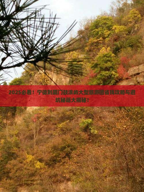 宁德到厦门鼓浪屿大型旅游团