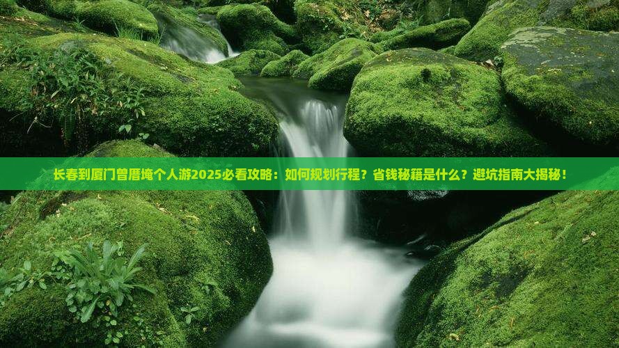 长春到厦门曾厝埯个人游