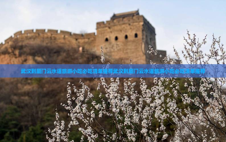 武汉到厦门云水谣旅游小吃