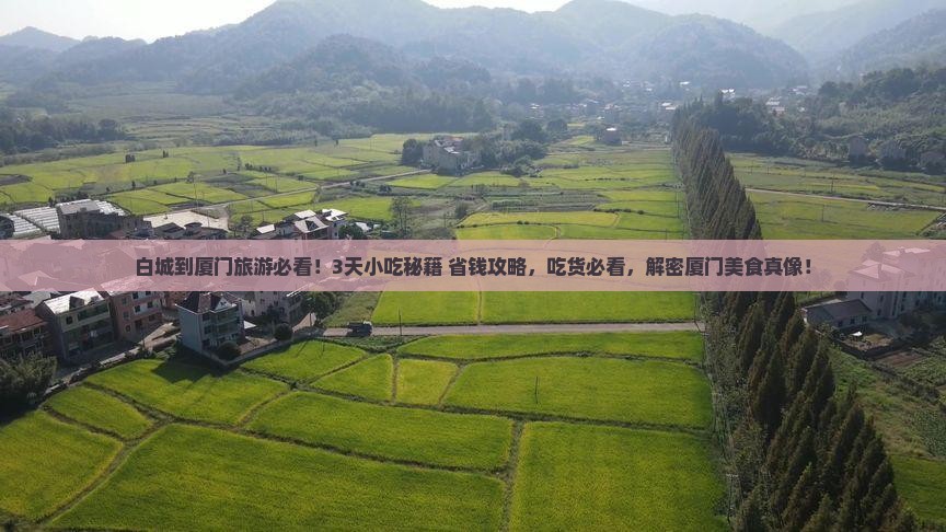 白城到厦门旅游小吃