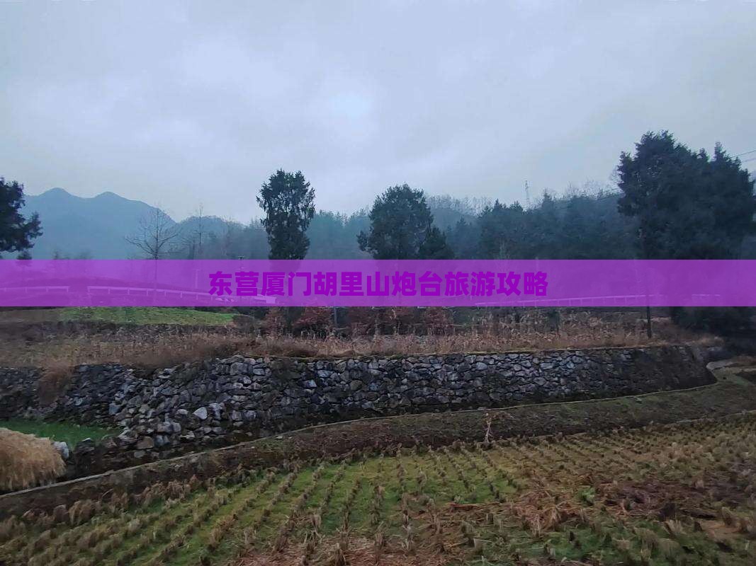 东营去厦门胡里山炮台个人游