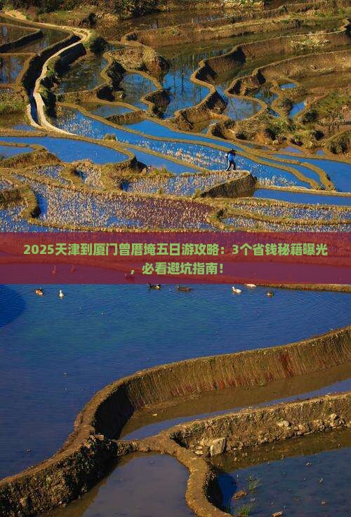 天津到厦门曾厝埯五日游
