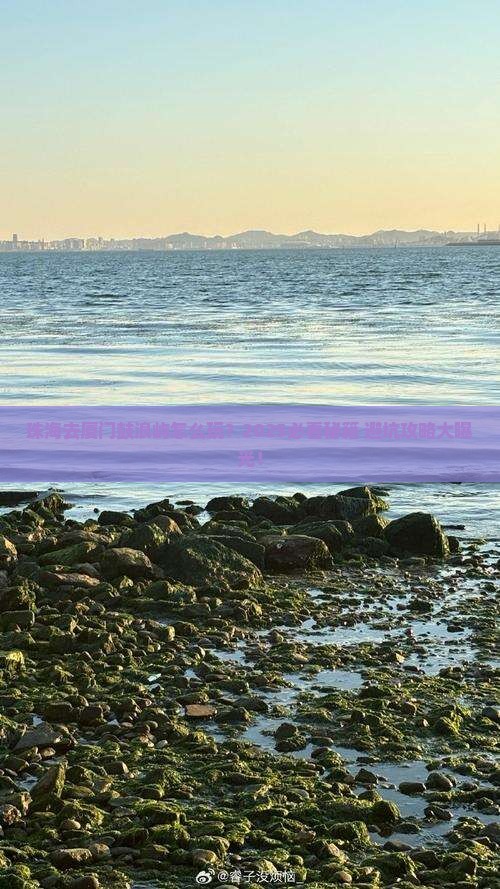 珠海去厦门鼓浪屿哪里玩