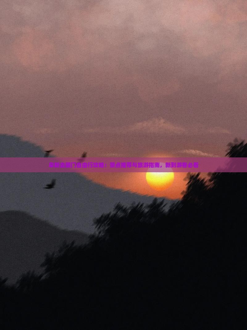 阜新去厦门自由行