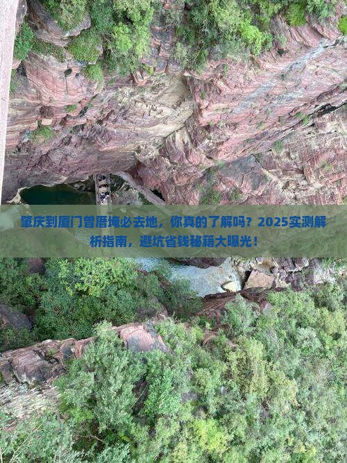 肇庆到厦门曾厝埯必去地