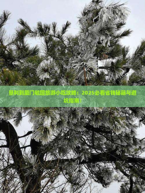 垦利到厦门毓园旅游小吃