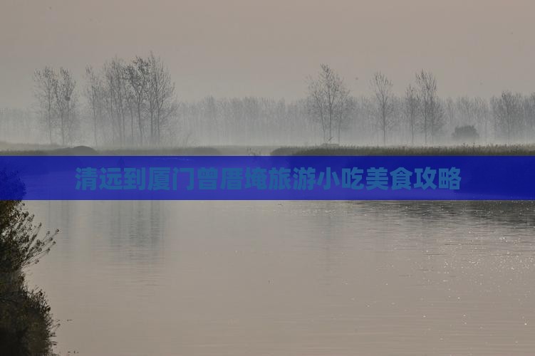 清远到厦门曾厝埯旅游小吃