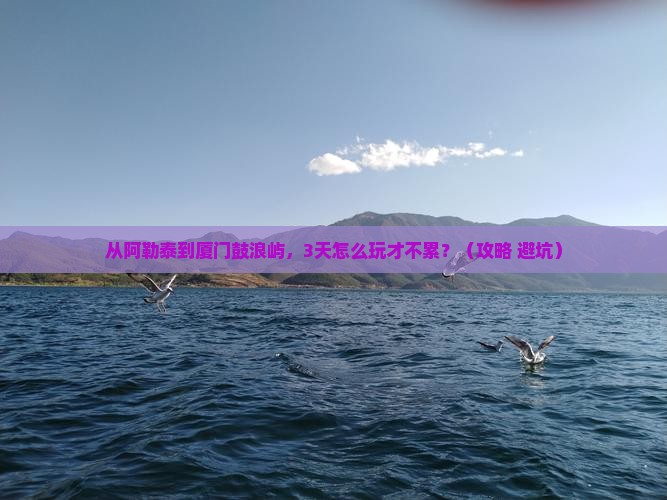 阿勒泰到厦门鼓浪屿自由行