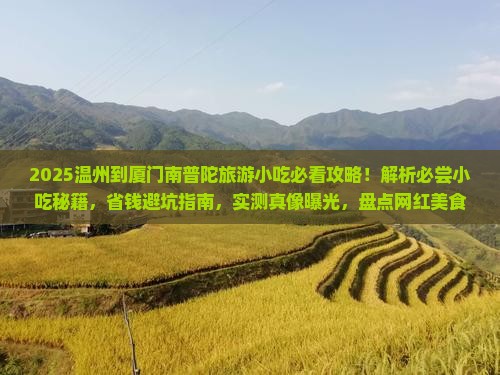 温州到厦门南普陀旅游小吃