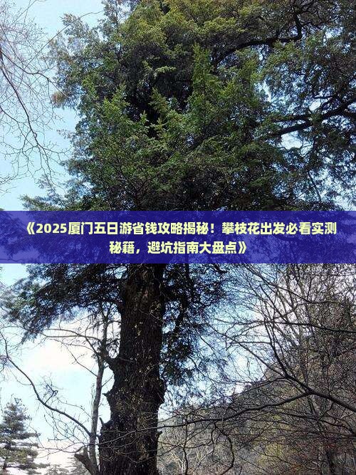 攀枝花去厦门五日游