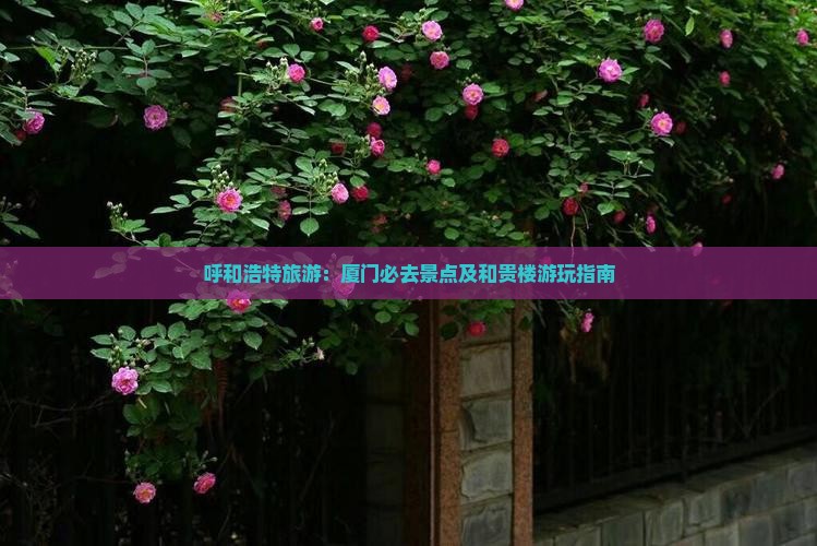 呼和浩特去厦门和贵楼哪里玩