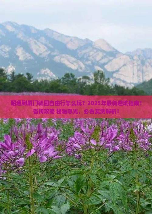 昭通到厦门毓园自由行