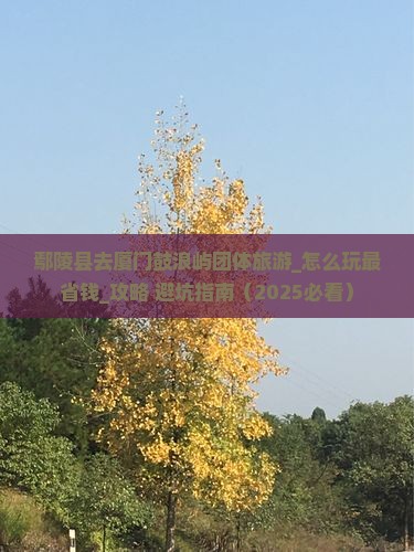 鄢陵县去厦门鼓浪屿团体旅游