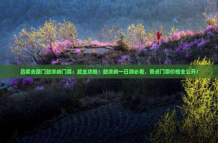 吕梁去厦门鼓浪屿门票