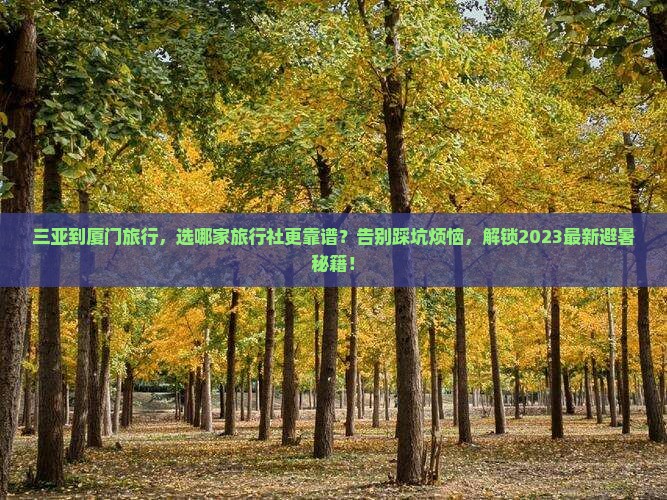 三亚到厦门旅行社