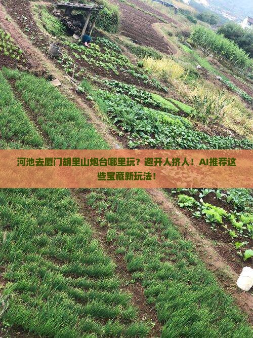 河池去厦门胡里山炮台哪里玩