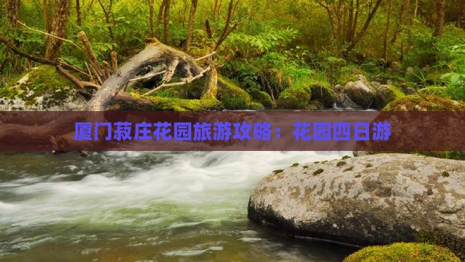 思茅去厦门菽庄花园四日游