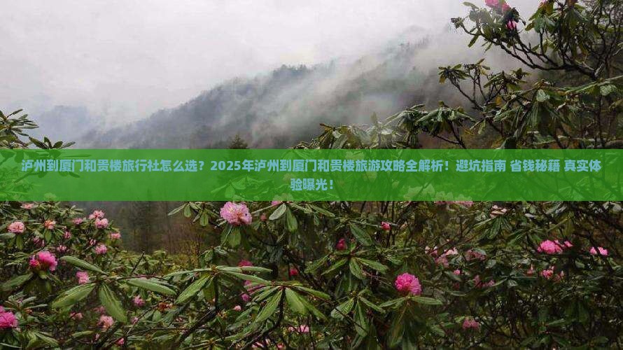 泸州到厦门和贵楼旅行社