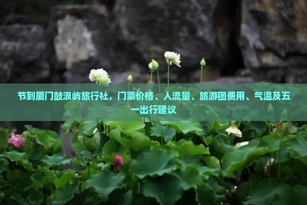 国庆节到厦门鼓浪屿旅行社