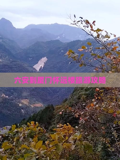 六安到厦门怀远楼自由团