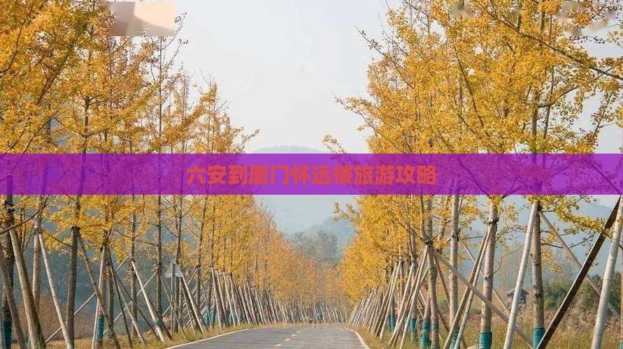 六安到厦门怀远楼自由团