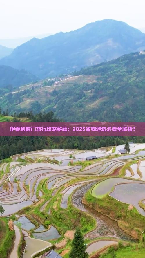伊春到厦门旅行社