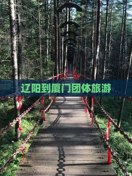 辽阳到厦门团体旅游