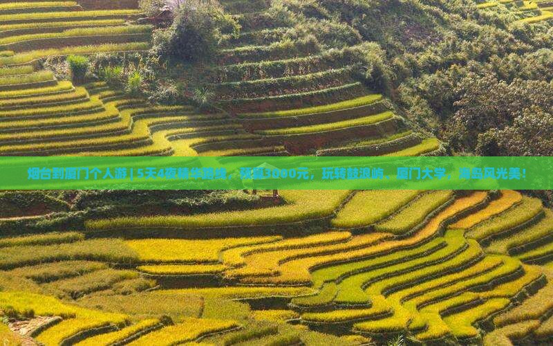 烟台到厦门个人游