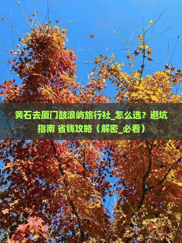 黄石去厦门鼓浪屿旅行社