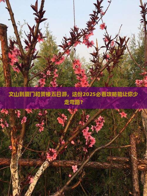 文山到厦门和贵楼五日游