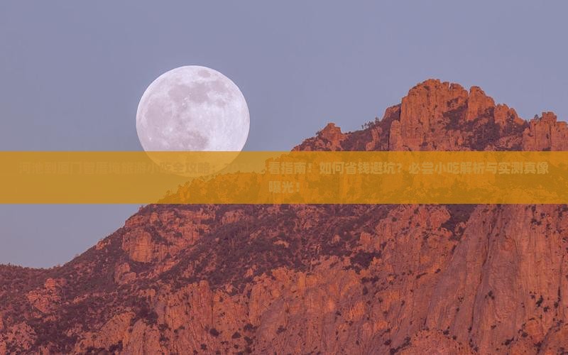 河池到厦门曾厝埯旅游小吃
