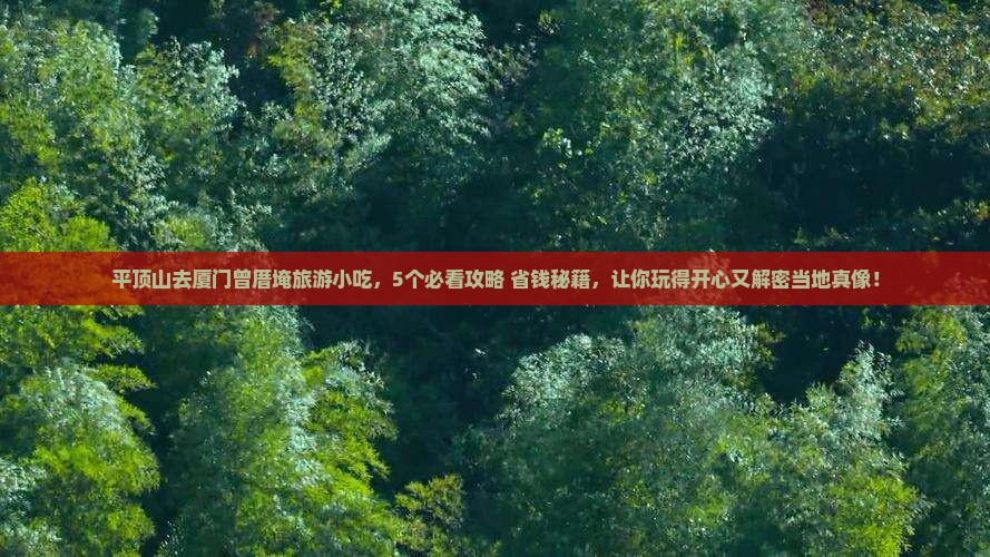 平顶山去厦门曾厝埯旅游小吃