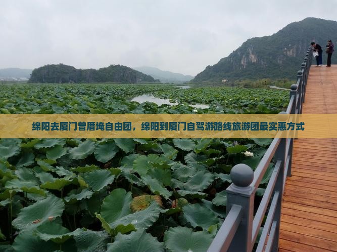 绵阳去厦门曾厝埯自由团