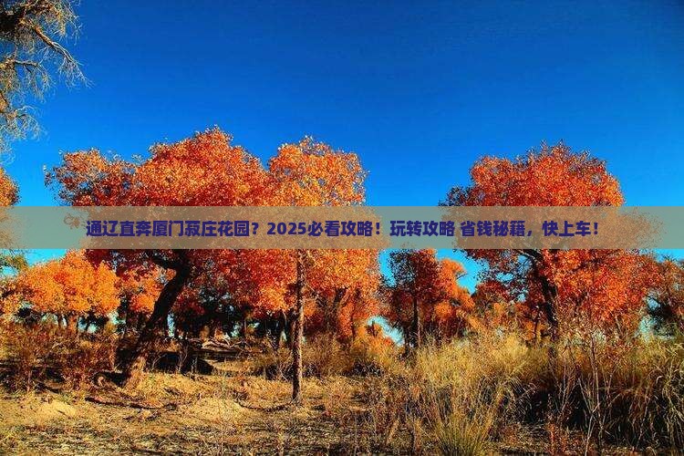 通辽到厦门菽庄花园哪里玩