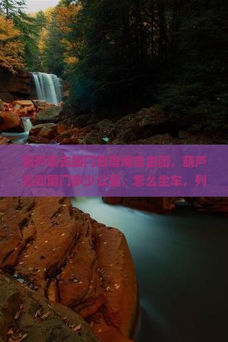 葫芦岛去厦门曾厝埯自由团