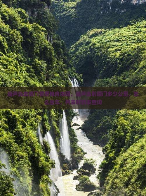 葫芦岛去厦门曾厝埯自由团