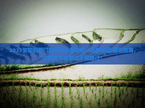 安阳到厦门鼓浪屿哪里玩