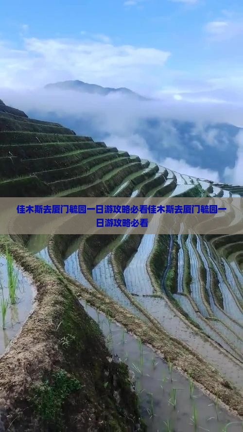 佳木斯去厦门毓园一日