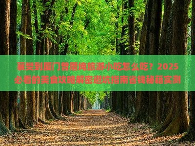 襄樊到厦门曾厝埯旅游小吃