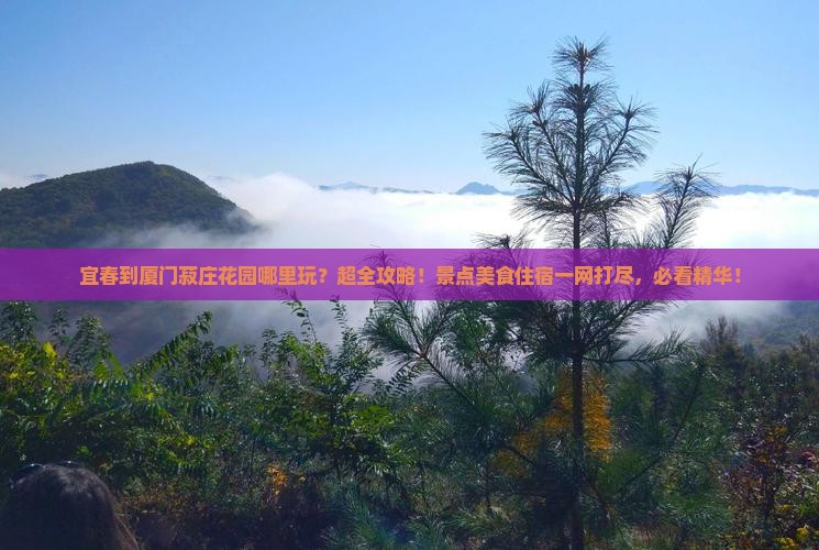 宜春到厦门菽庄花园哪里玩