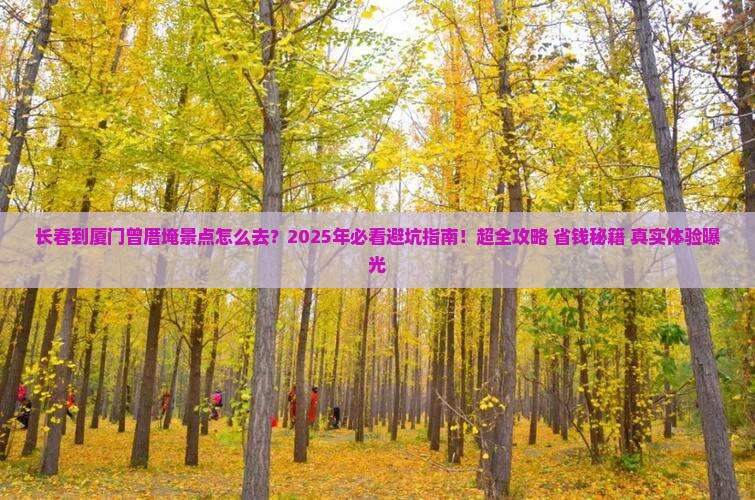 长春到厦门曾厝埯景点